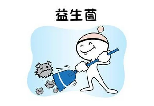 益生菌怎么做小紅書種草？